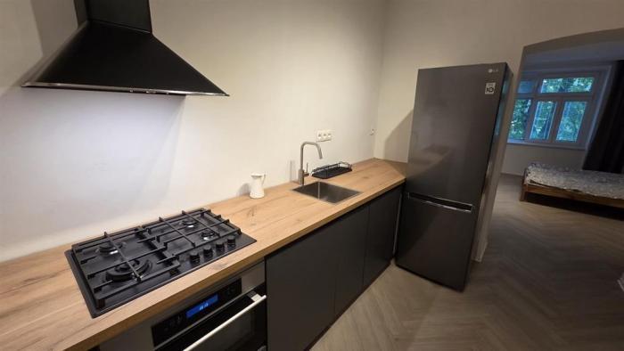 Reality - OBSADENY - ROMANTICKÉ BÝVANIE - 1-izbový byt - CENTRAL, VIVO - Mestská ul. - NETreal.TK -