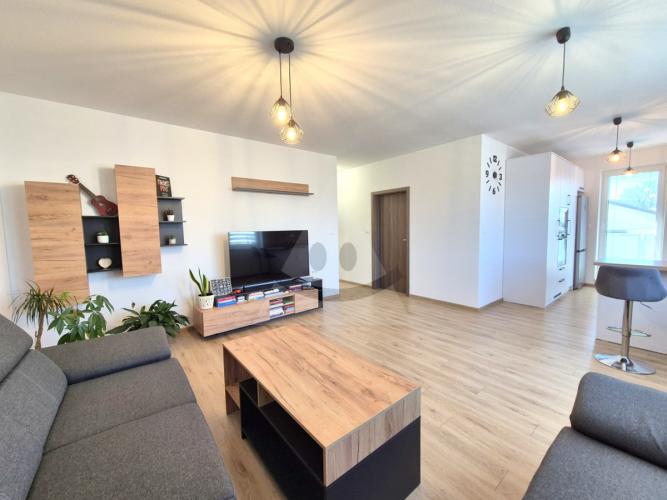 Reality 3-izbový byt byt, Predmier