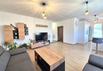 Reality 3-izbový byt byt, Predmier