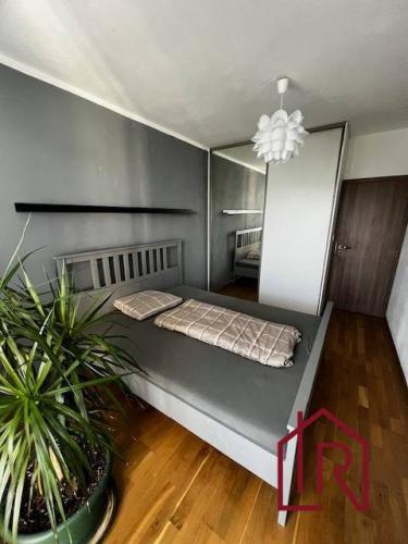 Reality 4 - izbový byt, Košice Terasa, Bernolákova, 82 m² , 3.p.