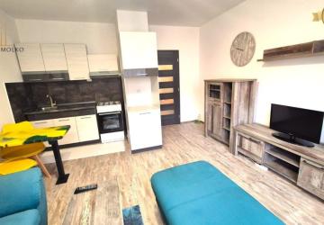 Reality Prenájom - 1 izbový byt, kompletná rekonštrukcia, 43m², Tomášikova