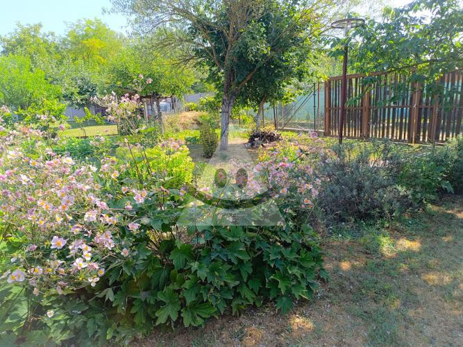 Reality 1-izbový dom dom, Komárno