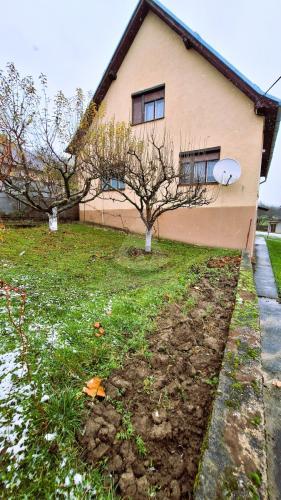 Reality dom, Šebešťanová