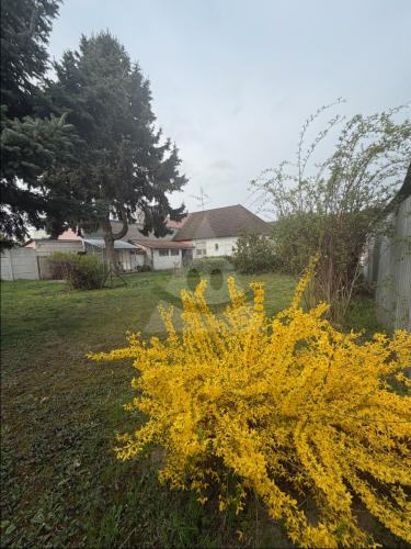 Reality 3-izbový dom dom, Komárno, Robotnícka štvrť