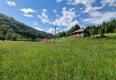 Reality Ranč, farma alebo chalupa? Rodinný dom s 12 622 m² pozemkom pri lese