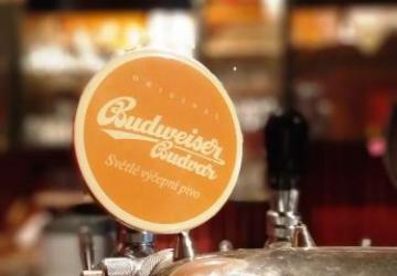 Reality Na prenájom - pohostinstvo - pab - kaviareň