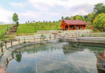 Reality Kancelárske priestory, Dolná Tižina