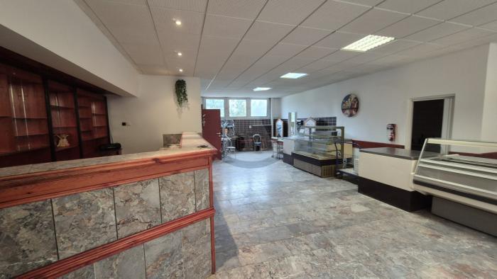 Reality Vyrobné priestory, Martin, Ľadoveň