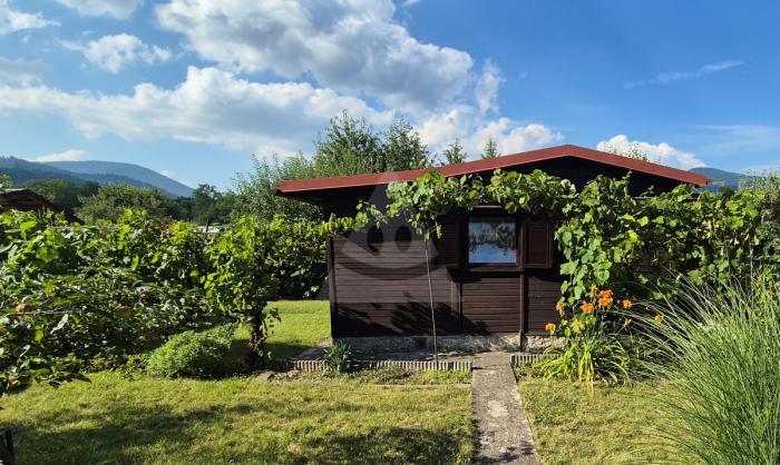 Reality Iné, Martin