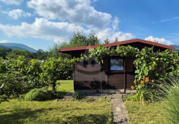 Reality Iné, Martin