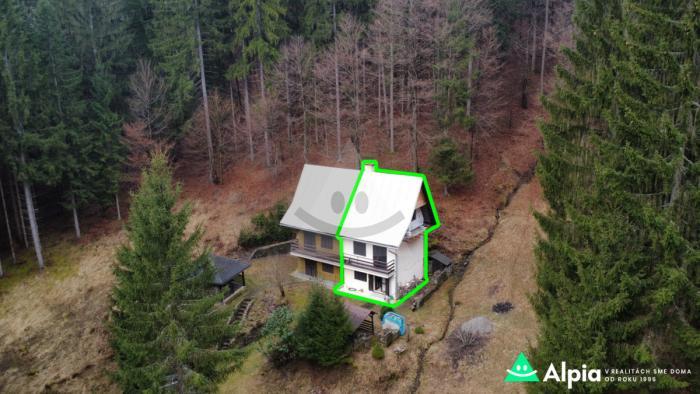 Reality Iné, Podjavorník