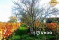 Reality RADO | Vinohradnícky domček s pozemkom v meste Skalica