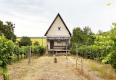 Reality Predaj, chata Kamenný Most, s vinicou, vzdialená necelých 5 km od Štúrova - EXKLUZÍVNE HALO RE