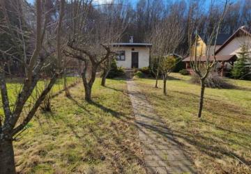 Reality Chata, záhrada, Košice, Zelený dvor