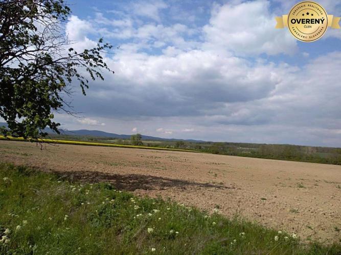 Reality Hľadáme na kúpu pozemok pre liečebňu a športovú halu. BA kraj