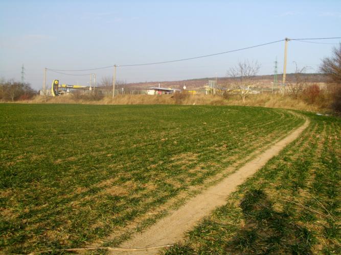 Reality PNORF – orná pôda, 2987 m2, za Ignis Dekor, Hlohovec