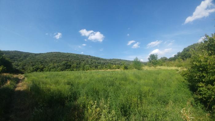 Reality PNORF – lukratívny pozemok, 2349 m², panoramatický výhľad, Devín