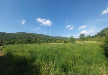 Reality PNORF – lukratívny pozemok, 2349 m², panoramatický výhľad, Devín