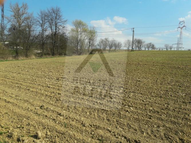 Reality Stavebný na rodinný dom, Sverepec