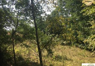 Reality Stavebný pozemok - Detvianska Huta - Bratkovica