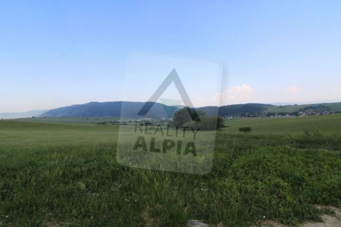 Reality Poľnohospodársky pozemok, Turie