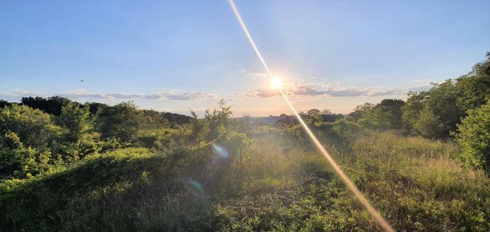 Reality Exkluzívne PNORF – st. pozemok s pekným výhľadom, 2436 m², Dolnokorunská ul. - Devín