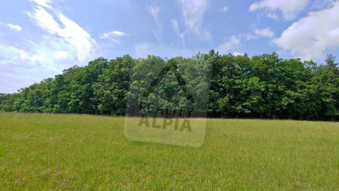 Reality Stavebný na rodinný dom, Pravenec