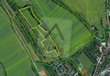 Reality Stavebný na rodinný dom, Nitrianske Pravno