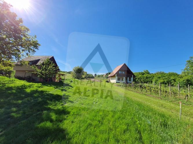 Reality Stavebný na rodinný dom, Modrany