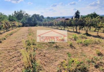 Reality EXKLUZÍVNE NA PREDAJ VINICA V LEVICIACH