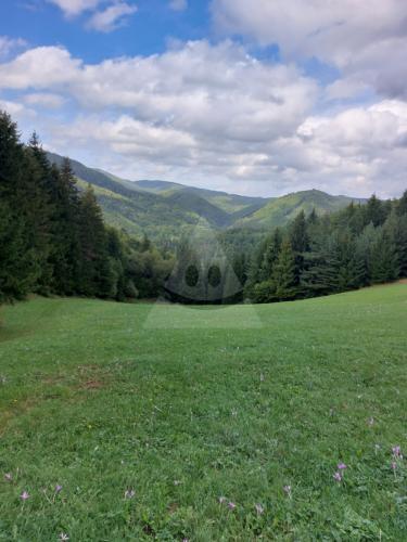 Reality Stavebný na rodinný dom, Čavoj