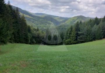 Reality Stavebný na rodinný dom, Čavoj