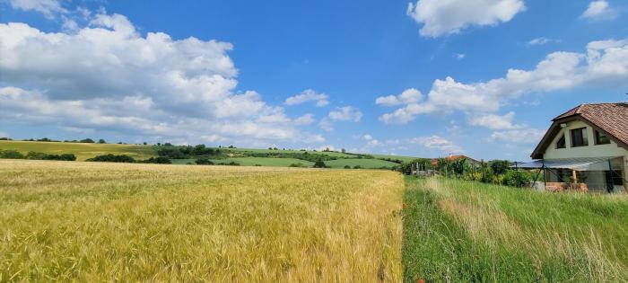 Reality PNORF – Developerská príležitosť: Pozemok pre IBV v Kľačanoch, 5964 m²