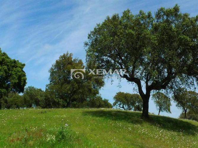 Reality Ocenenie nehnuteľnosti