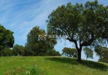 Reality Ocenenie nehnuteľnosti