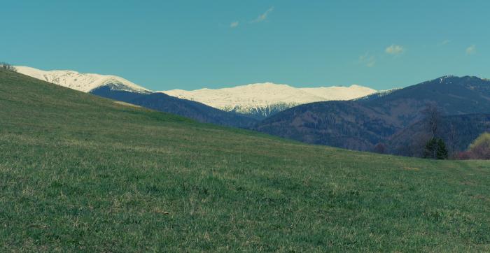 Reality Pozemok, k. úz. D. Lehota(v okolí Tále); a pozemok (v spoluvlast. pod. 1/40-ina k celk., príst. c.).