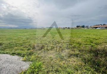 Reality Stavebný na rodinný dom, Martin, Tomčany