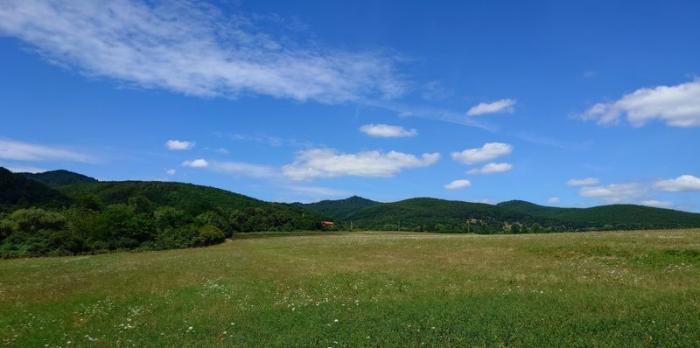 Reality Pozemok(3992m2),v katastrál. úz. Pukanec -na predaj