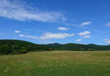 Reality Pozemok(3992m2),v katastrál. úz. Pukanec -na predaj