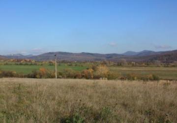 Reality Pozemok(1138m2),v katastrál. úz. Pukanec -na predaj