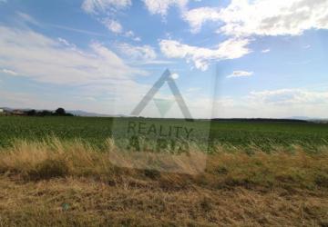 Reality Stavebný na rodinný dom, Žabokreky nad Nitrou