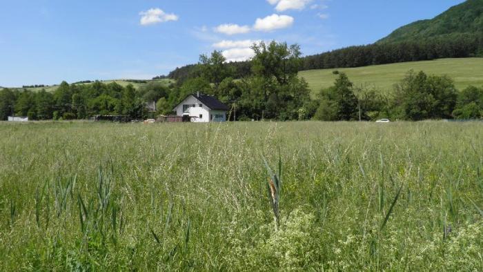 Reality Stavebný pozemok Domaniža, 2074 m2.