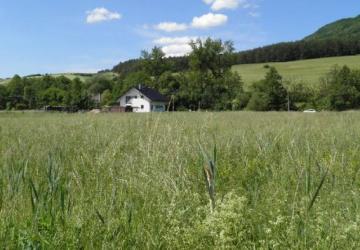 Reality Stavebný pozemok Domaniža, 2074 m2.