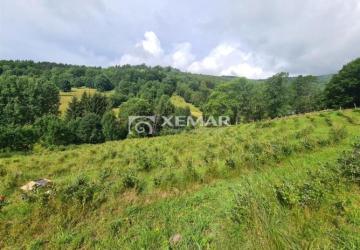 Reality PREDAJ - Čučoriedkový sad pod Poľanou