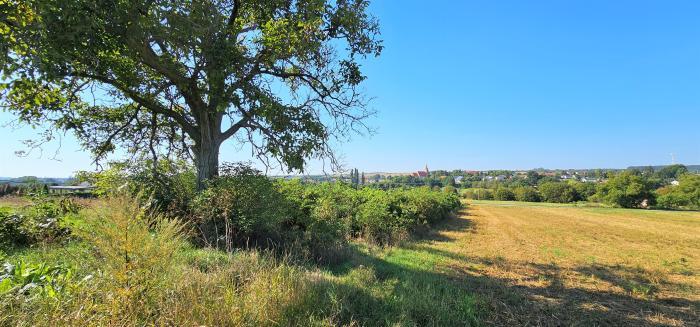 Reality Exkluzívne PNORF – rekreačný pozemok, 795 m2, Suchá nad Parnou