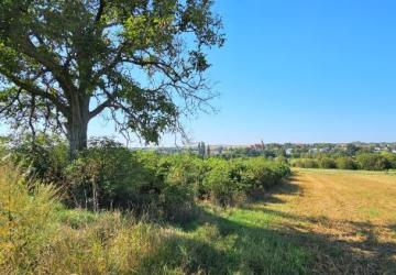 Reality Exkluzívne PNORF – rekreačný pozemok, 795 m2, Suchá nad Parnou