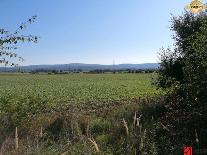 Reality ORNÁ PÔDA, STUPAVA ZA VOLKSWAGENOM