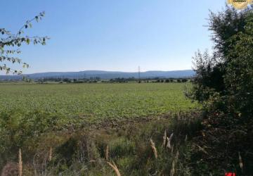 Reality ORNÁ PÔDA, STUPAVA ZA VOLKSWAGENOM
