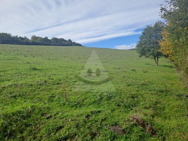 Reality Stavebný na rodinný dom, Brvnište