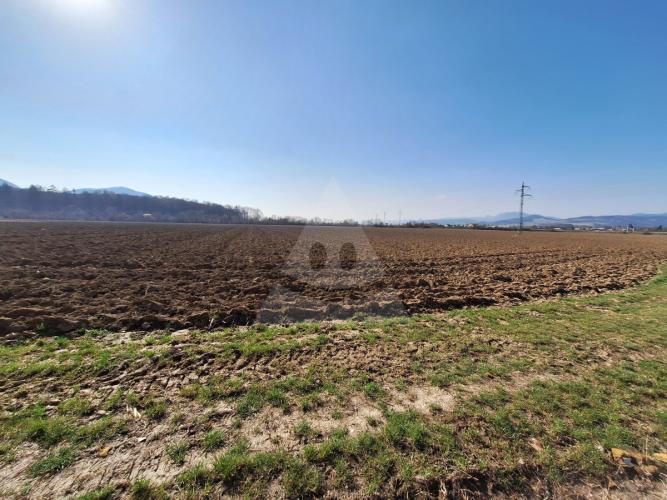 Reality Stavebný na rodinný dom, Beluša